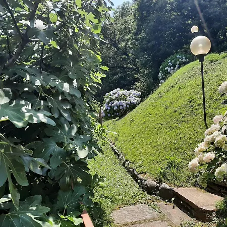 Civico 25, Carcioni - *